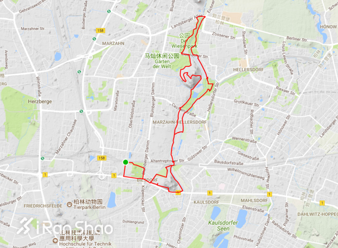 TopX | 「六大马」欧洲之旅 在伦敦和柏林旅行式跑步