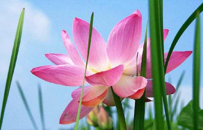 “奔跑中国·一带一路” 2018贵港国际马拉松 3月4日鸣枪开跑