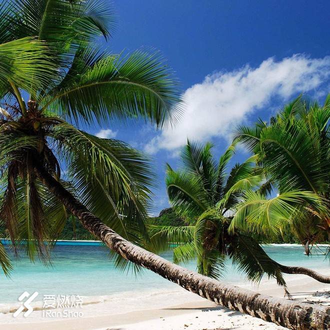 以梦喂马，带双跑鞋去旅行