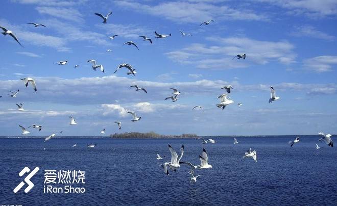 以梦喂马，带双跑鞋去旅行