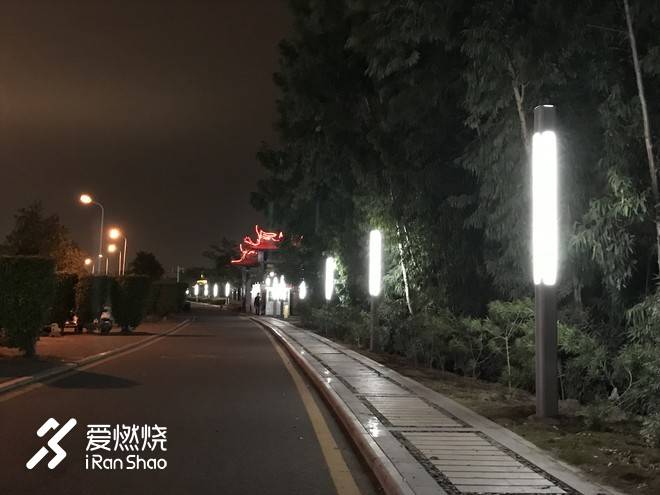 以梦喂马，带双跑鞋去旅行