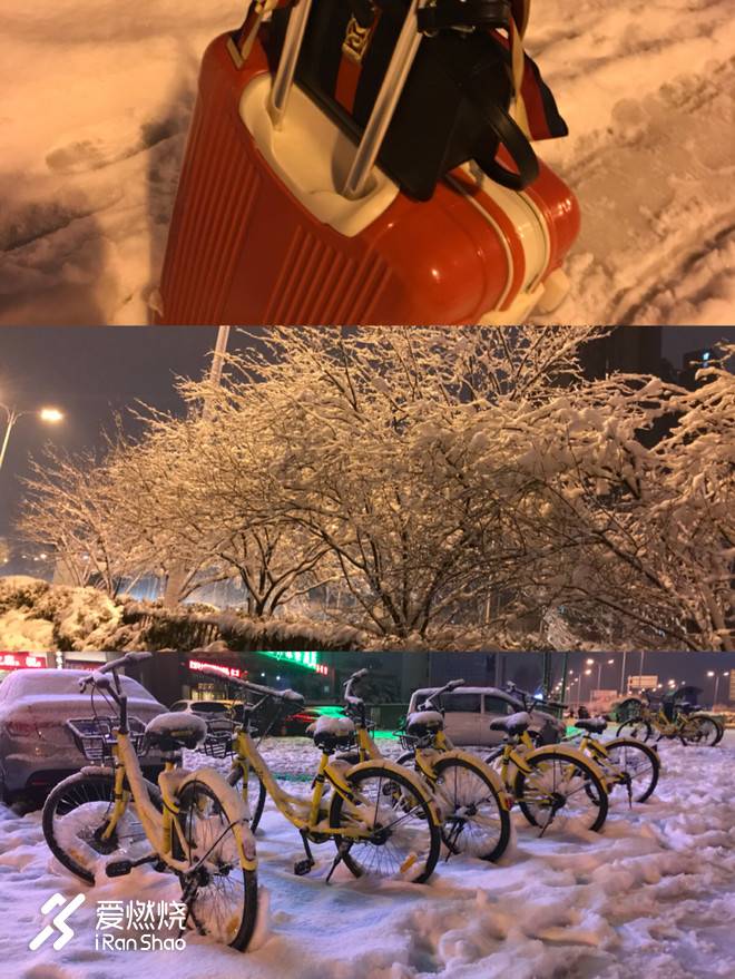 以梦喂马，带双跑鞋去旅行