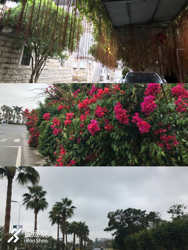 以梦喂马，带双跑鞋去旅行