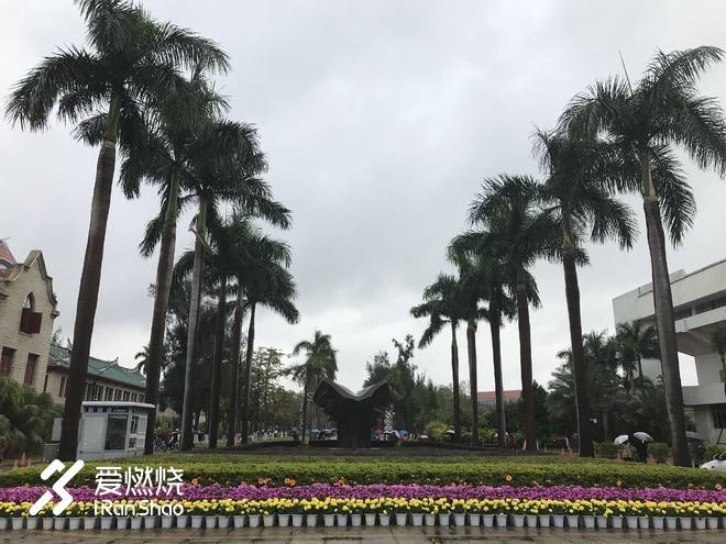 以梦喂马，带双跑鞋去旅行