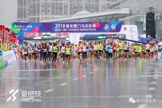 万骑逸尘，快意奔跑——致厦马