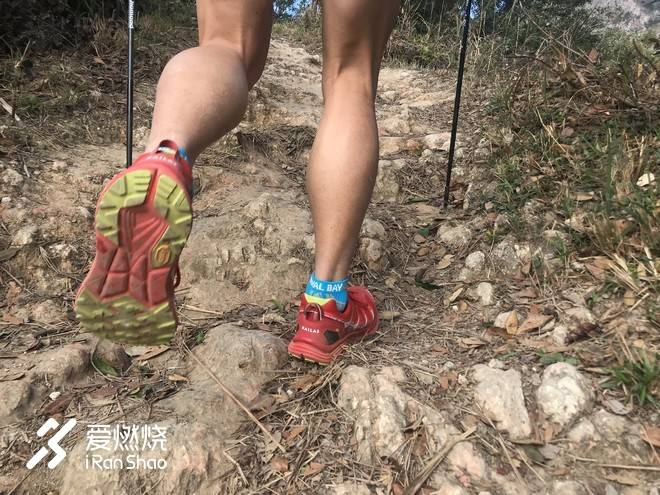 小金鱼，非凡的港百