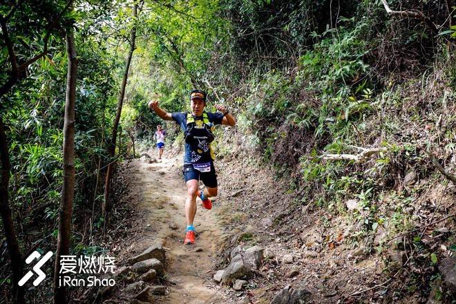 小金鱼，非凡的港百