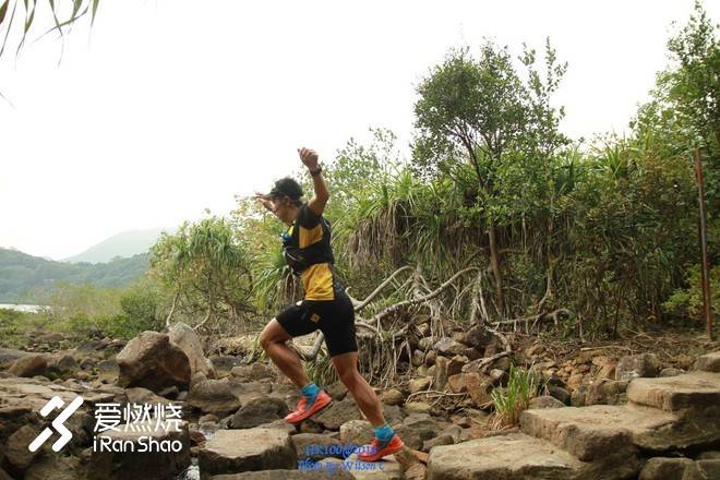 小金鱼，非凡的港百