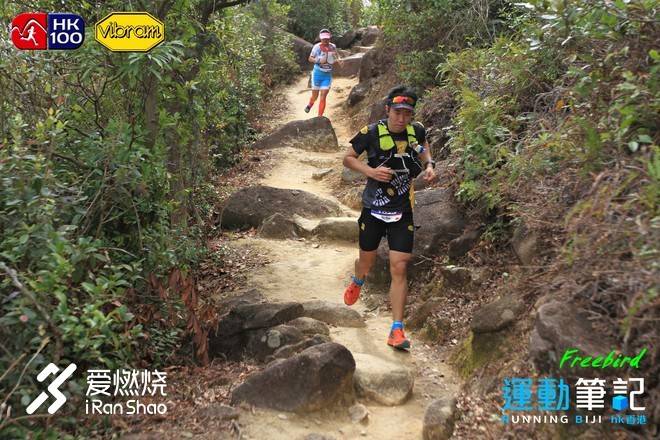 小金鱼，非凡的港百