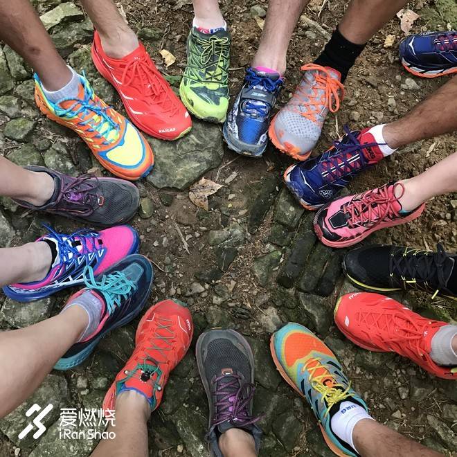 小金鱼，非凡的港百