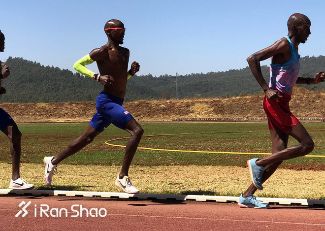 专栏 | 如何规划你的狗年跑步大计