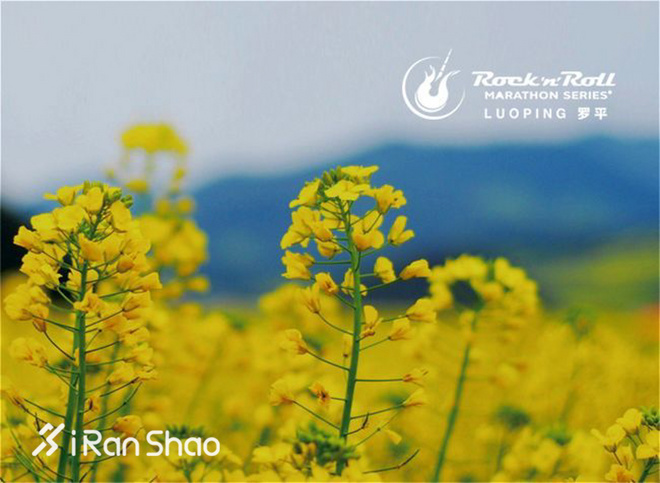 每月推荐 | 烟花三月要跑步 爱燃烧三月跑步歌单