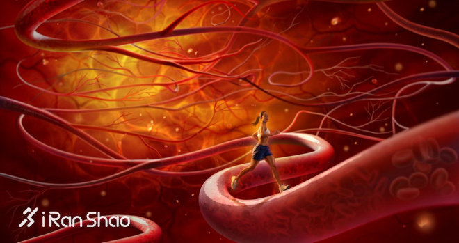 奔跑吧！姐妹  爱燃烧三八妇女节特辑