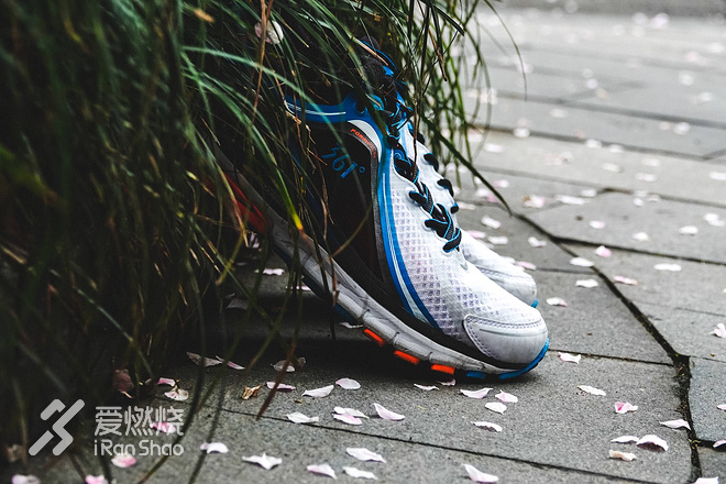 现场 | 再次发力国内 一整个家族撑起了361度的国内野心