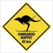 科普 | Loppet 一场风靡全球的冰雪奇缘