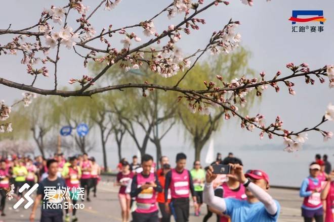 蠡湖缘·樱花马 ——锡马“破四”记