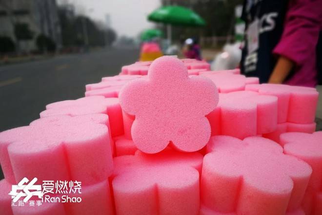 蠡湖缘·樱花马 ——锡马“破四”记