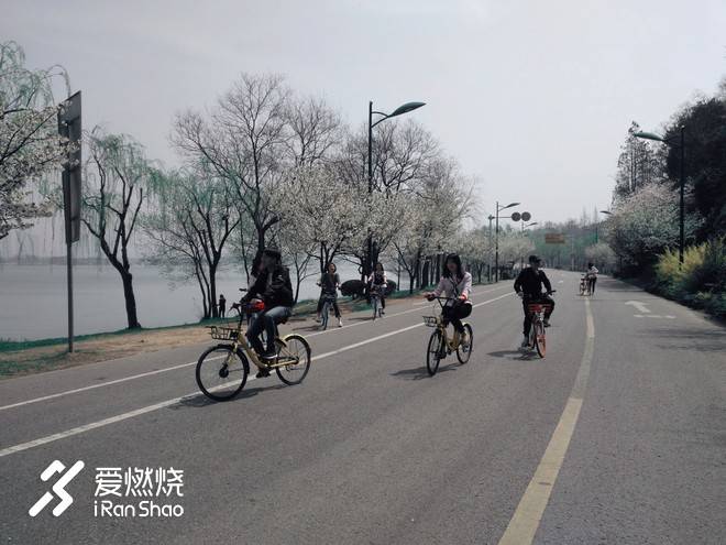 蠡湖缘·樱花马 ——锡马“破四”记