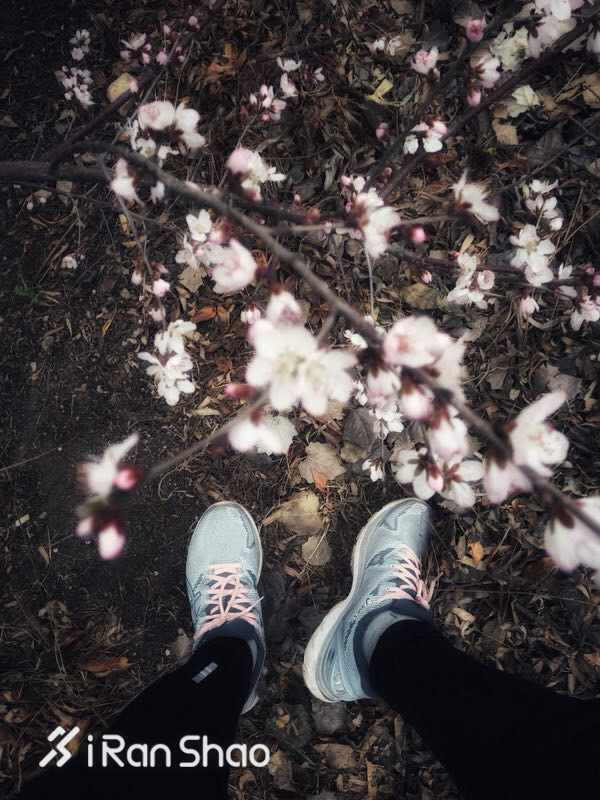 运动尖货 | 一周跑步装备美图集锦 Vol.33