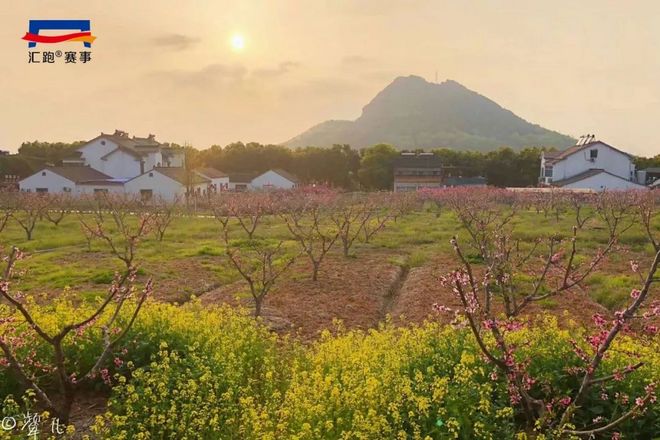 现场 | 共赴“桃花之约”，2018万科阳山半程马拉松鸣枪开赛