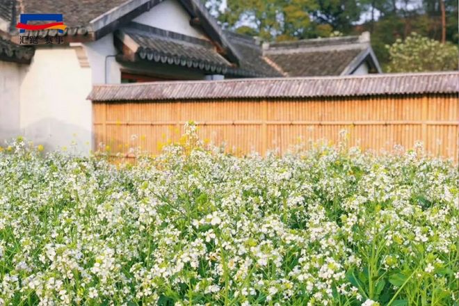 现场 | 共赴“桃花之约”，2018万科阳山半程马拉松鸣枪开赛