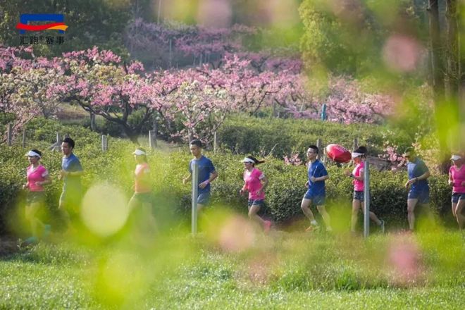 现场 | 共赴“桃花之约”，2018万科阳山半程马拉松鸣枪开赛