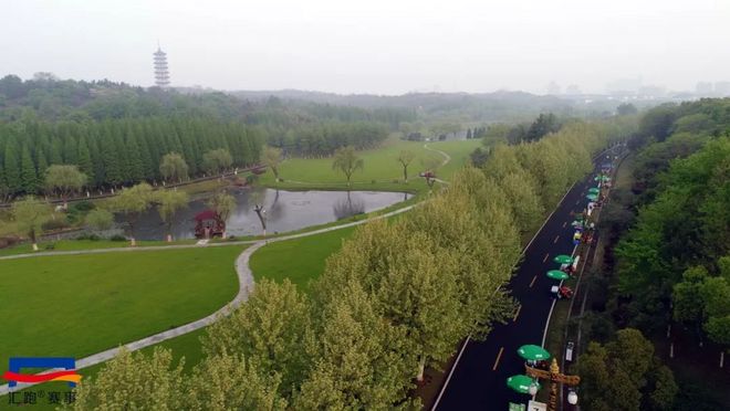 现场 | “魅力陶都，活力宜兴”！首届宜兴马拉松鸣枪开赛