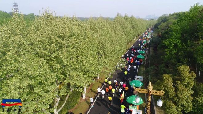 现场 | “魅力陶都，活力宜兴”！首届宜兴马拉松鸣枪开赛