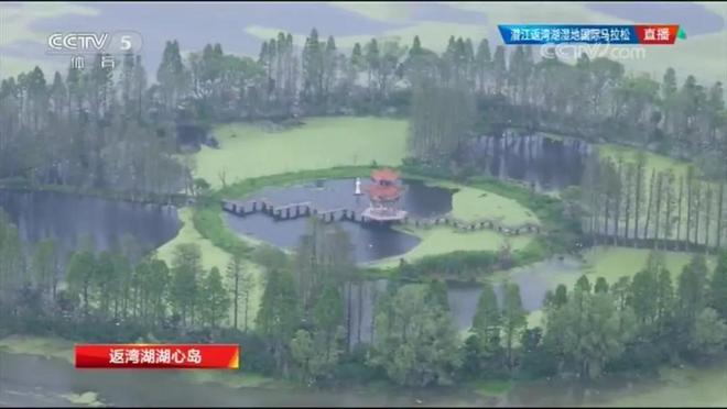 出乎意料 刮目相看 这个赞扬潜马配得上！