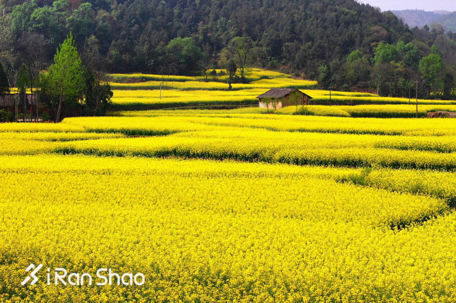 每月推荐 | 人间四月美在花开 爱燃烧四月跑步歌单