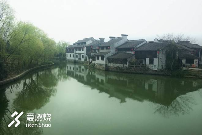 飘落的“三月雪”｜樱花树下绽放——武汉，无锡三马笔记