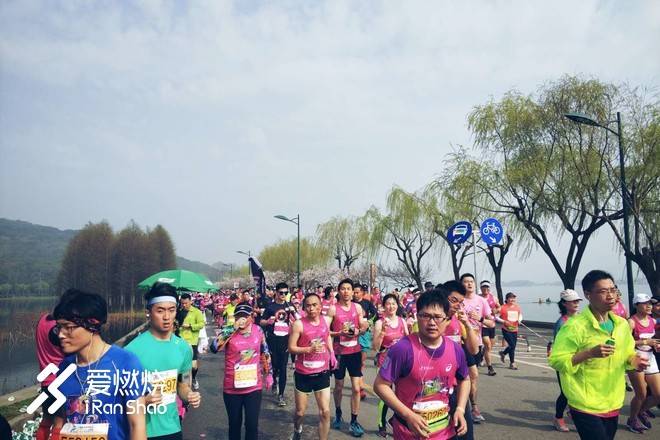 飘落的“三月雪”｜樱花树下绽放——武汉，无锡三马笔记