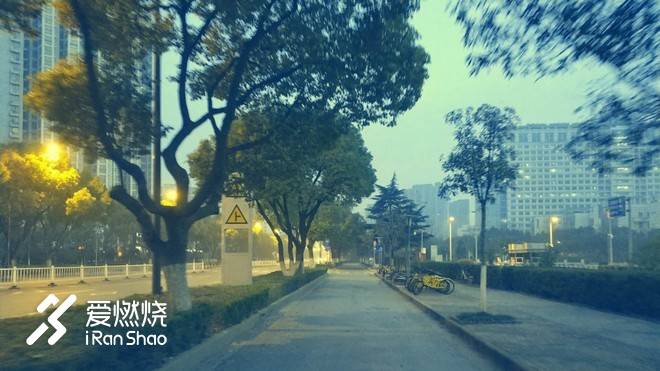 飘落的“三月雪”｜樱花树下绽放——武汉，无锡三马笔记