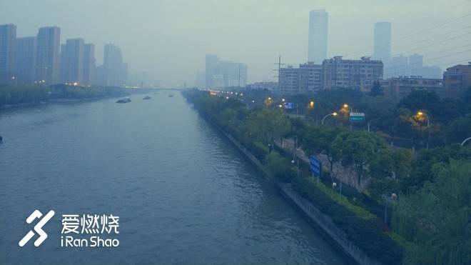 飘落的“三月雪”｜樱花树下绽放——武汉，无锡三马笔记