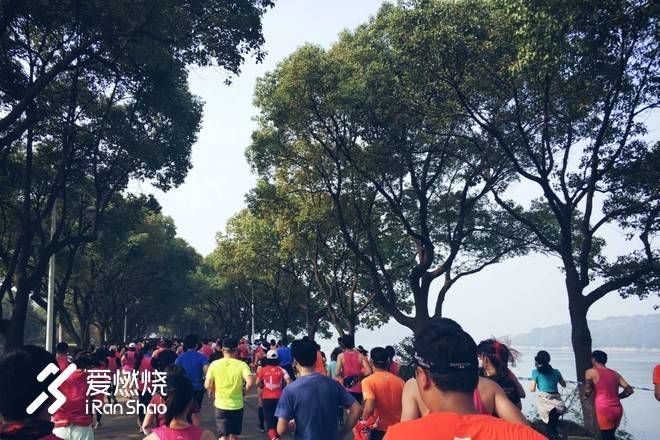 飘落的“三月雪”｜樱花树下绽放——武汉，无锡三马笔记