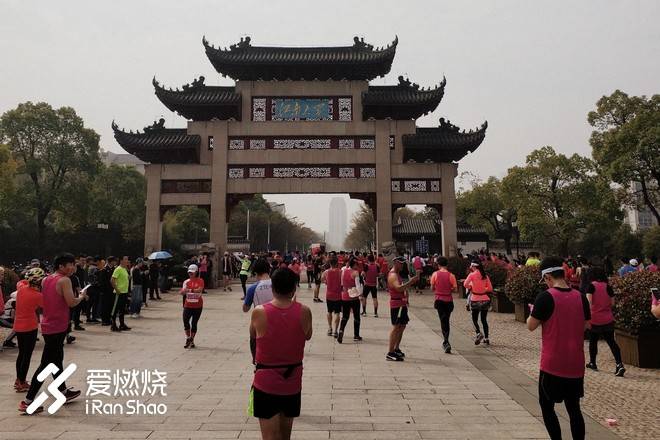 飘落的“三月雪”｜樱花树下绽放——武汉，无锡三马笔记