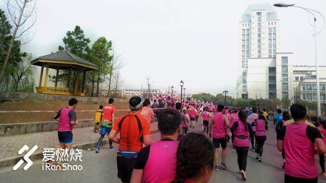 飘落的“三月雪”｜樱花树下绽放——武汉，无锡三马笔记