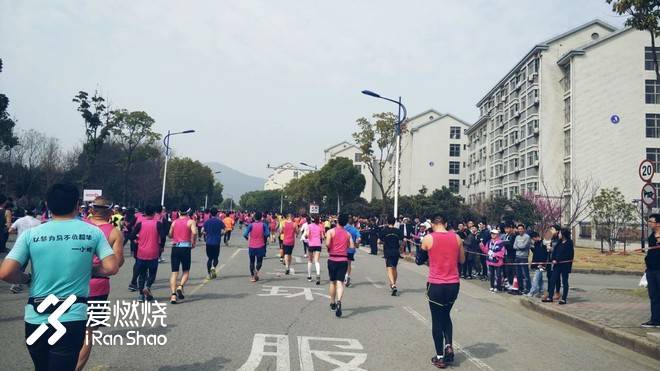 飘落的“三月雪”｜樱花树下绽放——武汉，无锡三马笔记