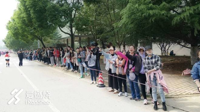 飘落的“三月雪”｜樱花树下绽放——武汉，无锡三马笔记