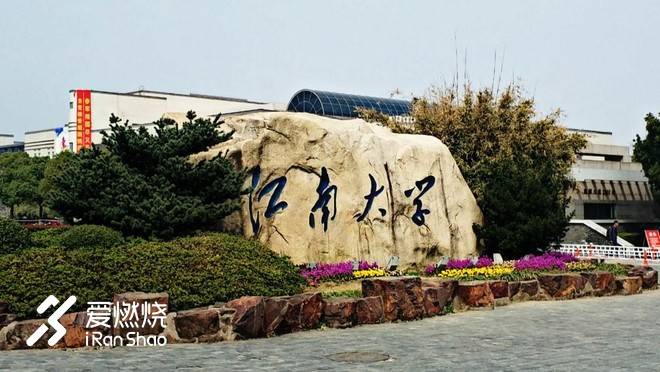 飘落的“三月雪”｜樱花树下绽放——武汉，无锡三马笔记