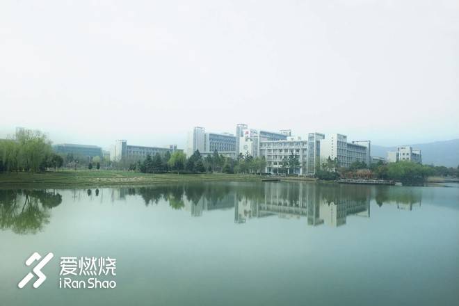 飘落的“三月雪”｜樱花树下绽放——武汉，无锡三马笔记