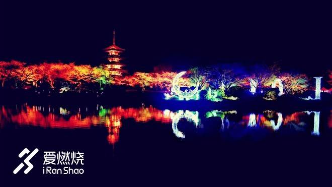 飘落的“三月雪”｜樱花树下绽放——武汉，无锡三马笔记