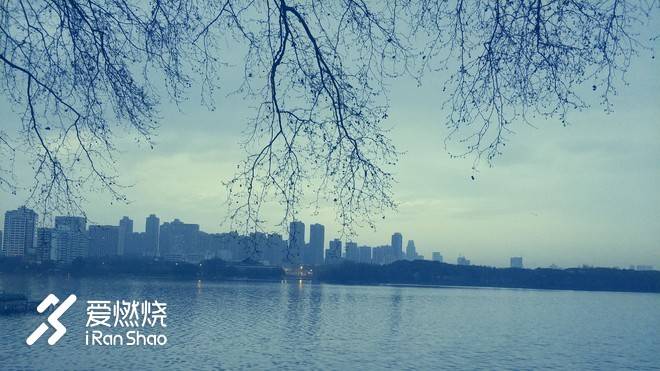 飘落的“三月雪”｜樱花树下绽放——武汉，无锡三马笔记