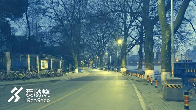 飘落的“三月雪”｜樱花树下绽放——武汉，无锡三马笔记