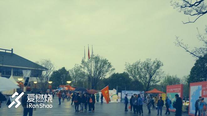 飘落的“三月雪”｜樱花树下绽放——武汉，无锡三马笔记