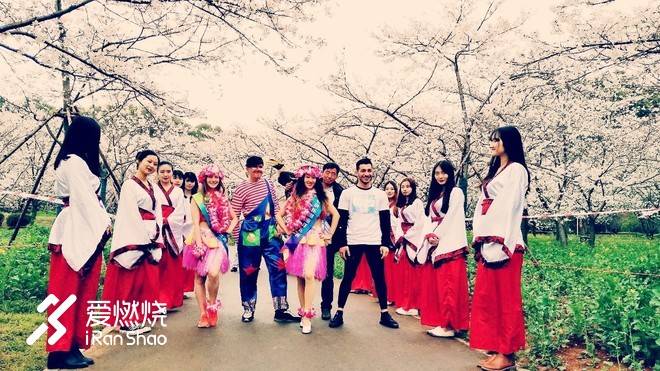 飘落的“三月雪”｜樱花树下绽放——武汉，无锡三马笔记