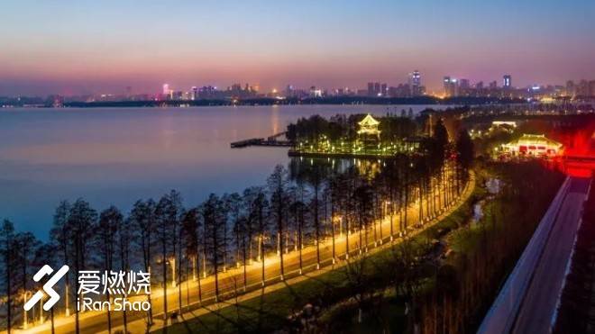 飘落的“三月雪”｜樱花树下绽放——武汉，无锡三马笔记