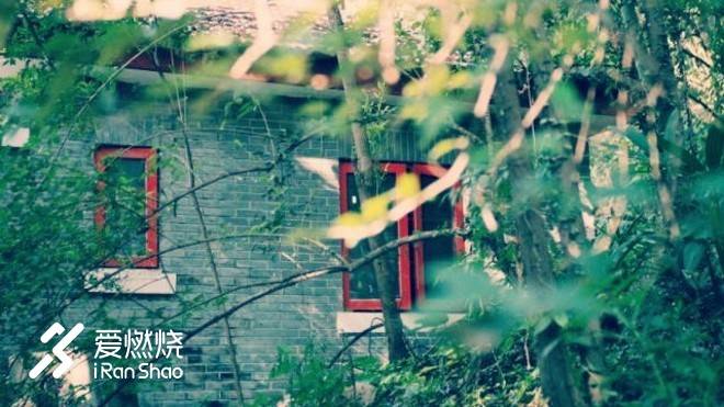 飘落的“三月雪”｜樱花树下绽放——武汉，无锡三马笔记