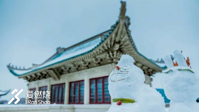 飘落的“三月雪”｜樱花树下绽放——武汉，无锡三马笔记
