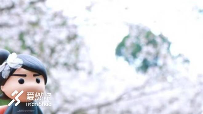 飘落的“三月雪”｜樱花树下绽放——武汉，无锡三马笔记